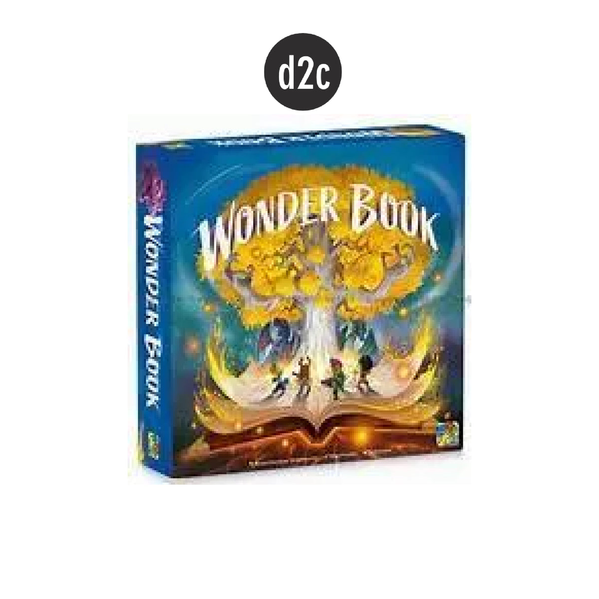 Wonder Book - Playmaker